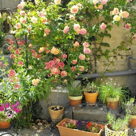 Bed & Breakfast Au Bellefleur